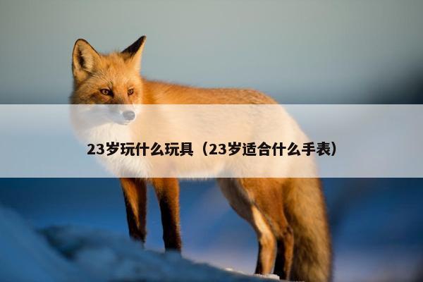 23岁玩什么玩具（23岁适合什么手表）