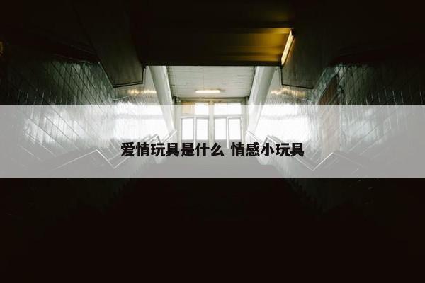 爱情玩具是什么 情感小玩具