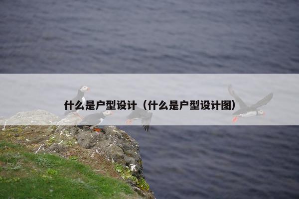 什么是户型设计（什么是户型设计图）