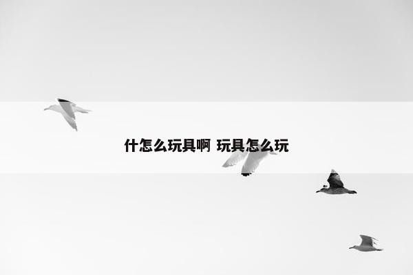 什怎么玩具啊 玩具怎么玩