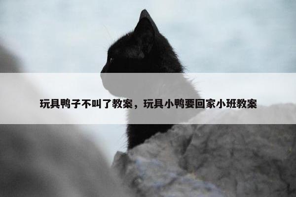 玩具鸭子不叫了教案，玩具小鸭要回家小班教案