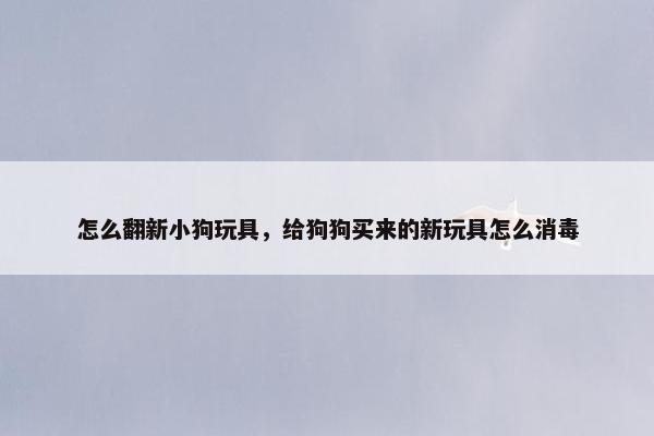 怎么翻新小狗玩具，给狗狗买来的新玩具怎么消毒