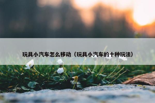 玩具小汽车怎么移动（玩具小汽车的十种玩法）