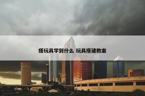 搭玩具学到什么 玩具搭建教案