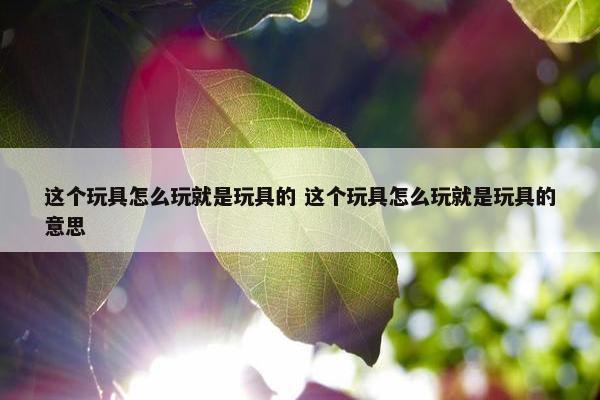 这个玩具怎么玩就是玩具的 这个玩具怎么玩就是玩具的意思