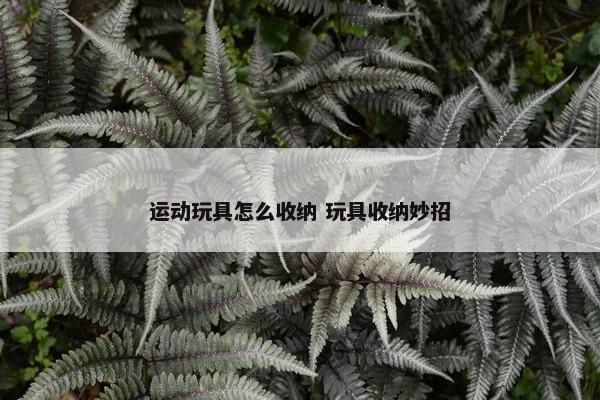 运动玩具怎么收纳 玩具收纳妙招