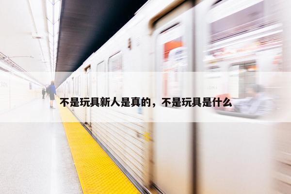 不是玩具新人是真的，不是玩具是什么