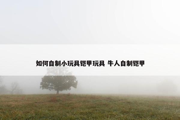 如何自制小玩具铠甲玩具 牛人自制铠甲