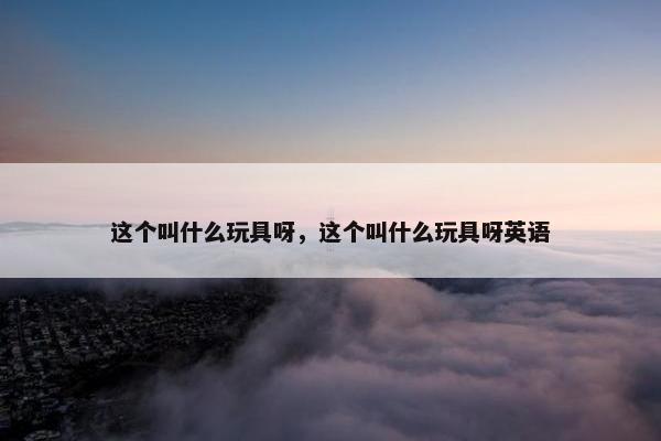 这个叫什么玩具呀，这个叫什么玩具呀英语