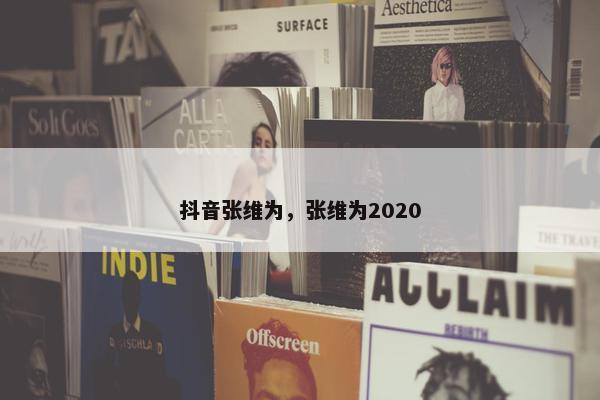 抖音张维为，张维为2020