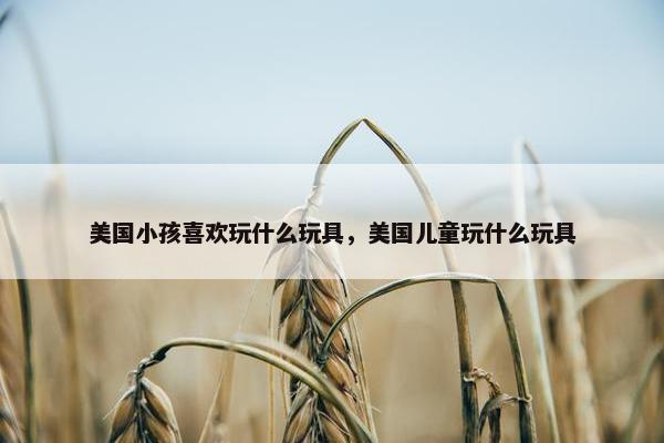 美国小孩喜欢玩什么玩具，美国儿童玩什么玩具