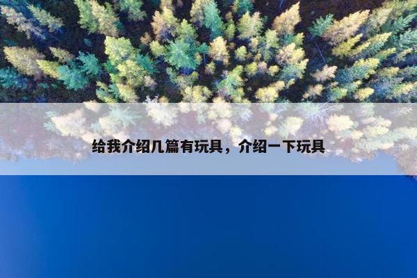 给我介绍几篇有玩具，介绍一下玩具