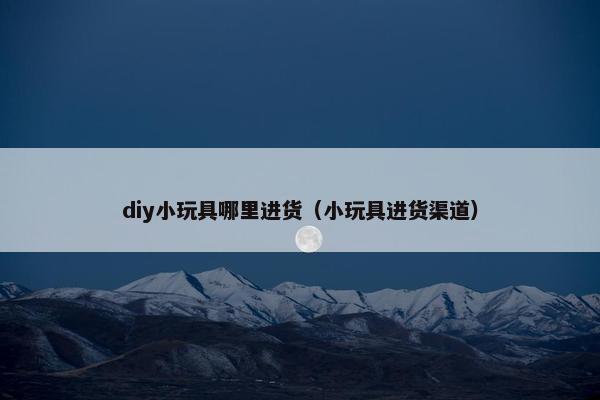 diy小玩具哪里进货（小玩具进货渠道）