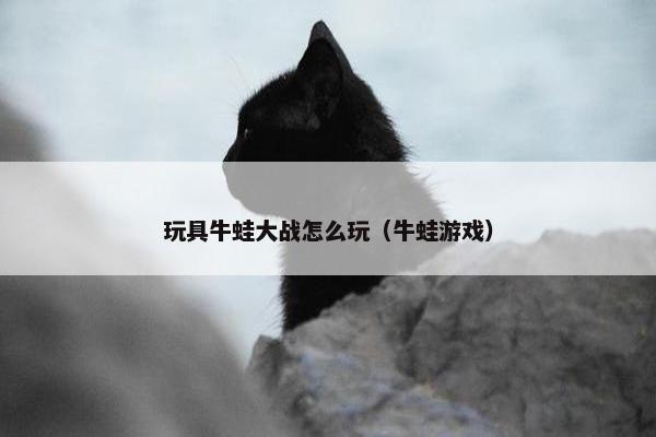 玩具牛蛙大战怎么玩（牛蛙游戏）