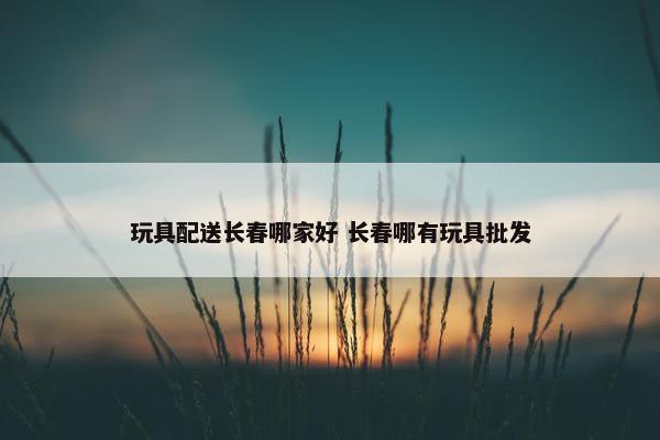 玩具配送长春哪家好 长春哪有玩具批发