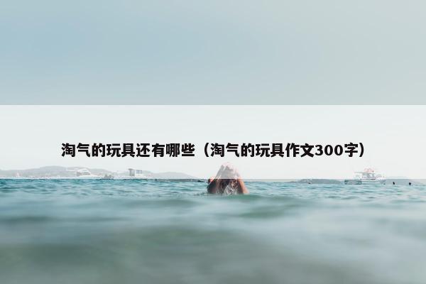 淘气的玩具还有哪些（淘气的玩具作文300字）