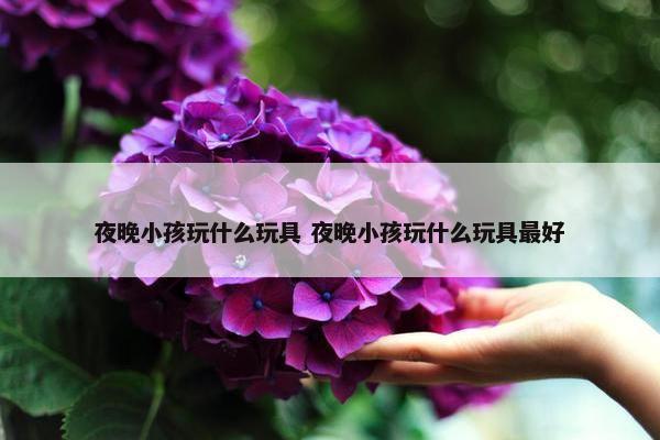 夜晚小孩玩什么玩具 夜晚小孩玩什么玩具最好