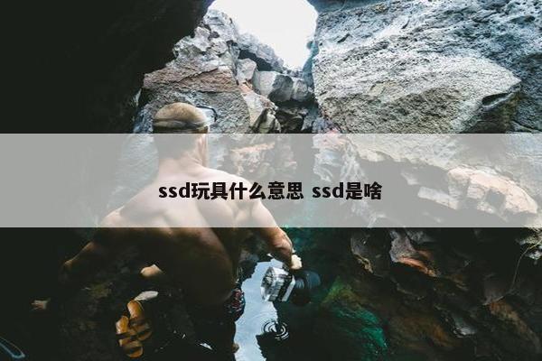 ssd玩具什么意思 ssd是啥