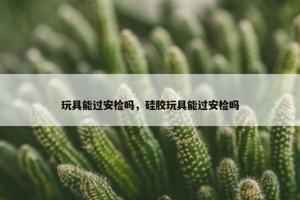 玩具能过安检吗，硅胶玩具能过安检吗