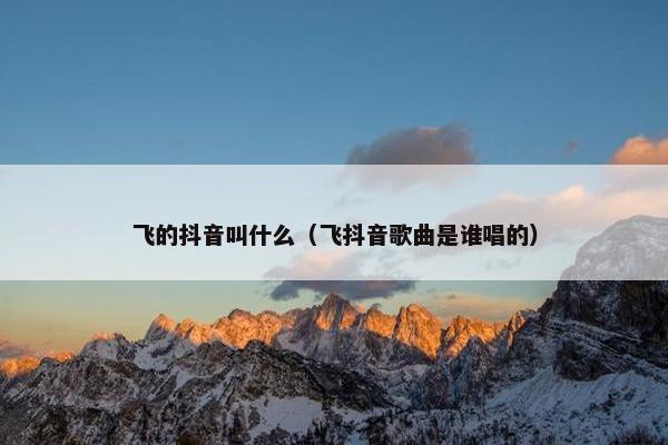 飞的抖音叫什么（飞抖音歌曲是谁唱的）