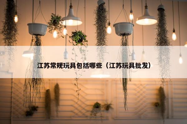 江苏常规玩具包括哪些（江苏玩具批发）