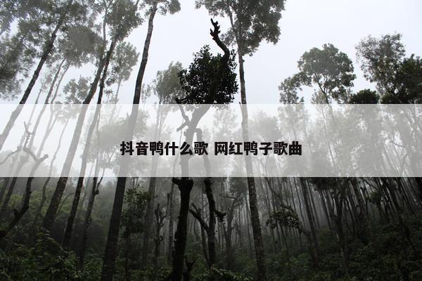 抖音鸭什么歌 网红鸭子歌曲