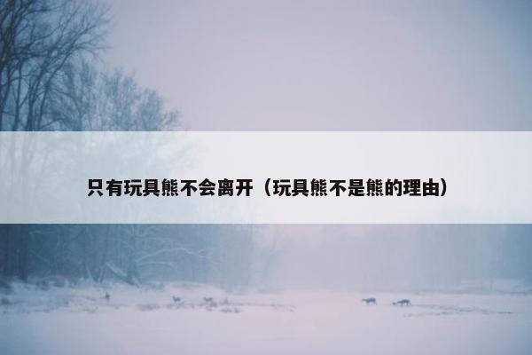 只有玩具熊不会离开（玩具熊不是熊的理由）