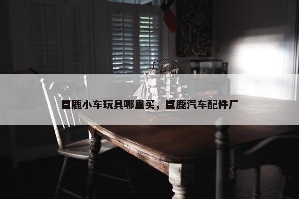 巨鹿小车玩具哪里买，巨鹿汽车配件厂