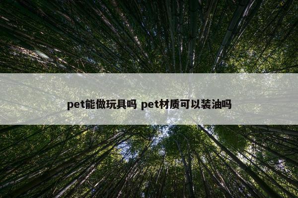 pet能做玩具吗 pet材质可以装油吗