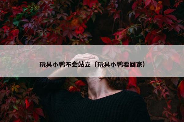 玩具小鸭不会站立（玩具小鸭要回家）