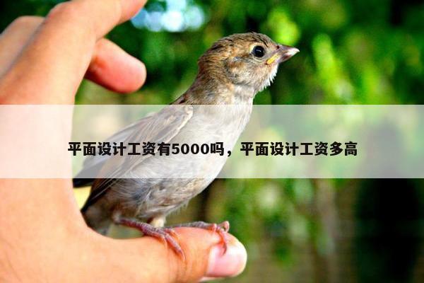 平面设计工资有5000吗，平面设计工资多高