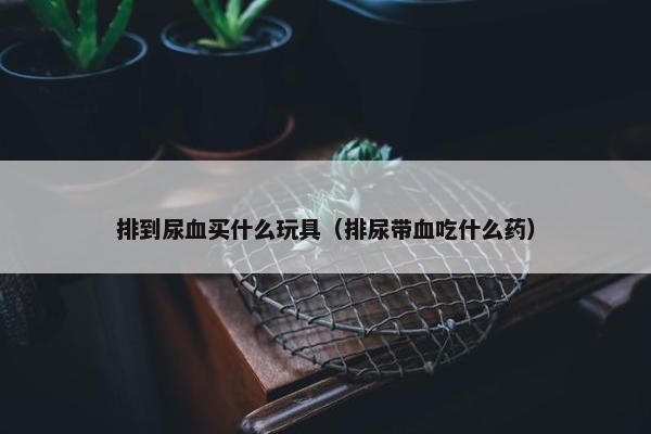 排到尿血买什么玩具（排尿带血吃什么药）