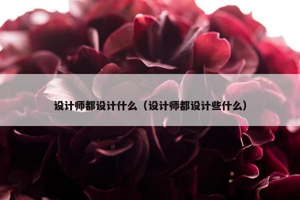 设计师都设计什么（设计师都设计些什么）