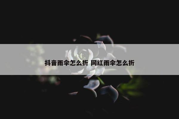 抖音雨伞怎么折 网红雨伞怎么折