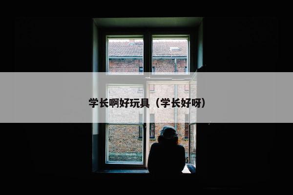 学长啊好玩具（学长好呀）