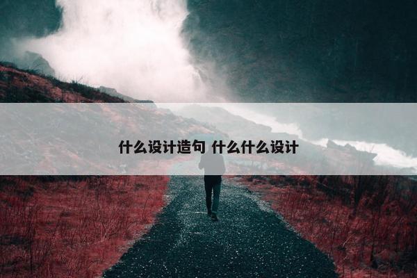 什么设计造句 什么什么设计