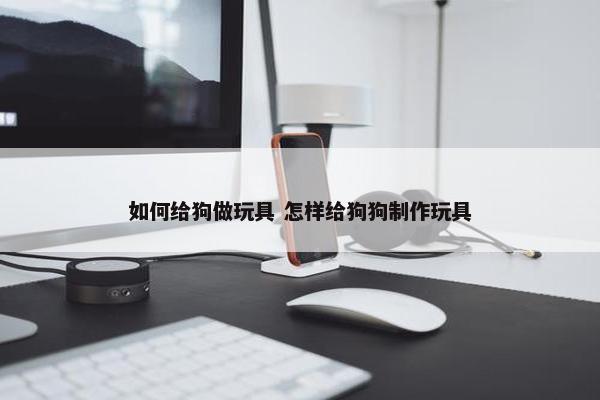 如何给狗做玩具 怎样给狗狗制作玩具