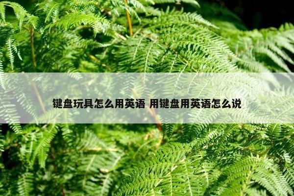 键盘玩具怎么用英语 用键盘用英语怎么说