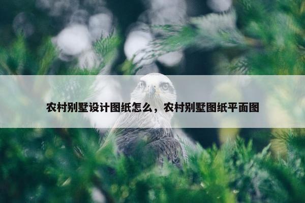 农村别墅设计图纸怎么，农村别墅图纸平面图