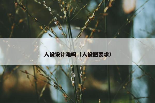 人设设计难吗（人设图要求）