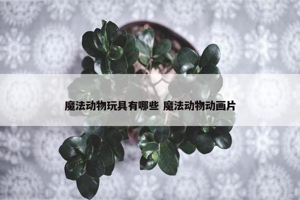 魔法动物玩具有哪些 魔法动物动画片