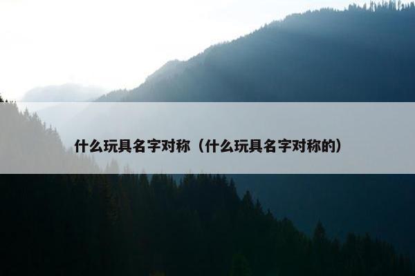 什么玩具名字对称（什么玩具名字对称的）