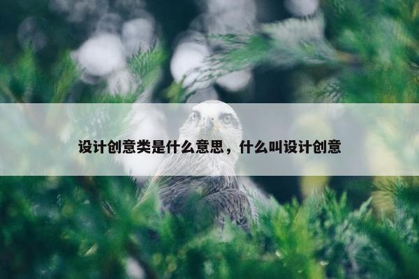 设计创意类是什么意思，什么叫设计创意