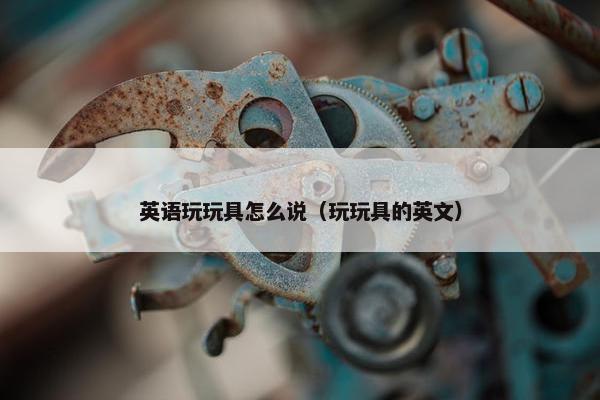 英语玩玩具怎么说（玩玩具的英文）