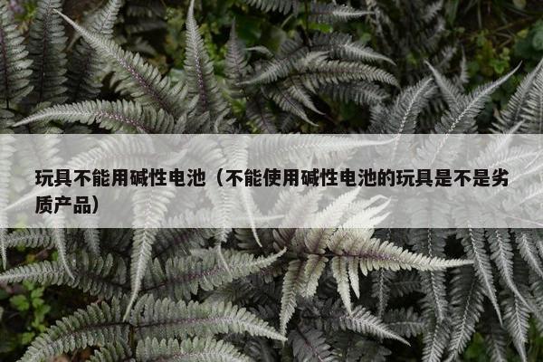 玩具不能用碱性电池（不能使用碱性电池的玩具是不是劣质产品）