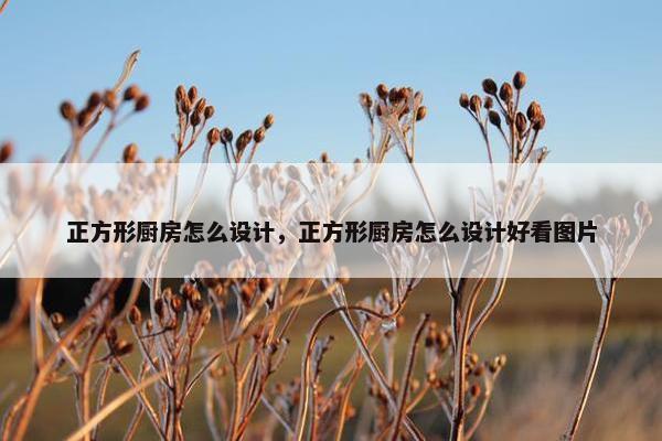 正方形厨房怎么设计，正方形厨房怎么设计好看图片