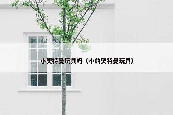 小奥特曼玩具吗（小的奥特曼玩具）