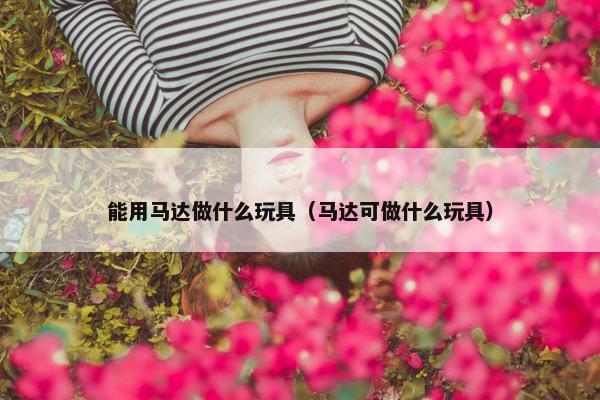 能用马达做什么玩具（马达可做什么玩具）