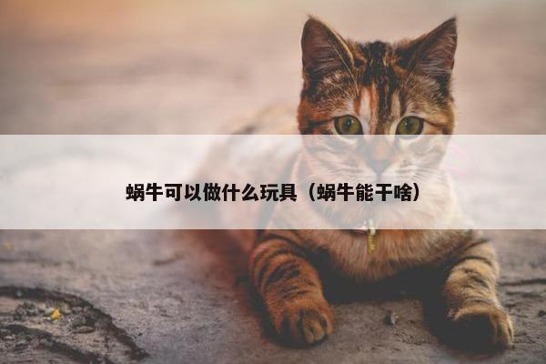 蜗牛可以做什么玩具（蜗牛能干啥）