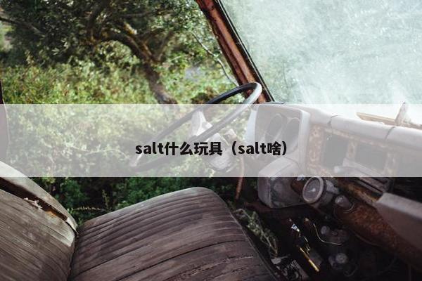 salt什么玩具（salt啥）